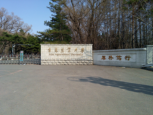 &#21326;&#20159;&#24179;&#21488;&#95;&#21326;&#20159;&#40;&#20013;&#22269;&#41;